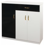 環保塑鋼鞋櫃  CT-305